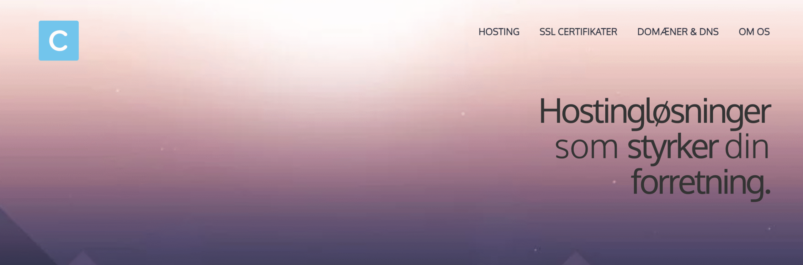 CHosting anmeldelse med fokus på pris, kvalitet og support